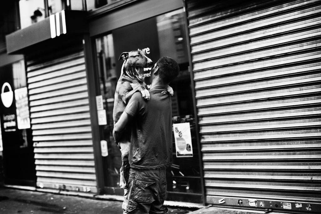 LA HAINE - BANLIEU PARIS