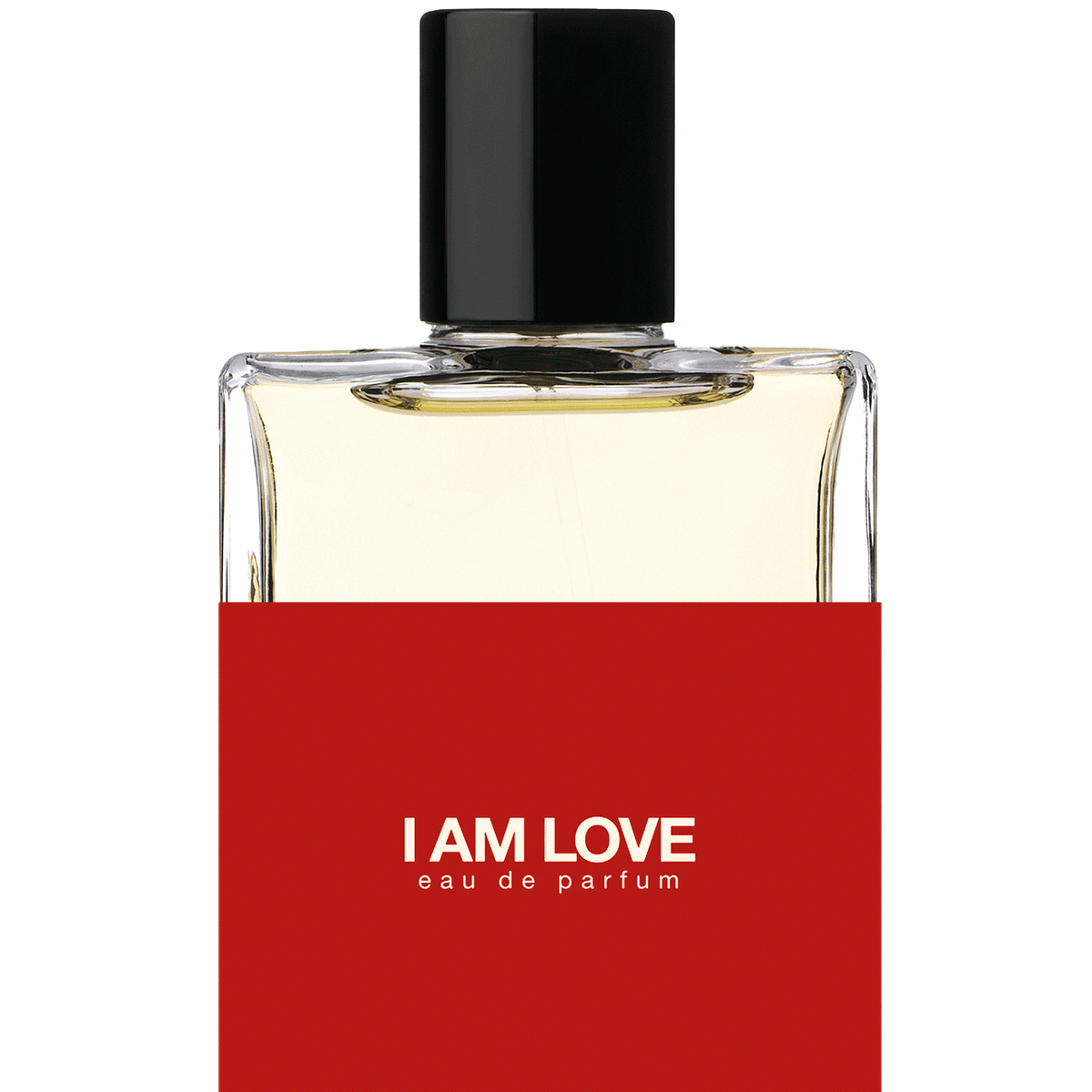 No15 - I AM LOVE - MOTH and RABBIT