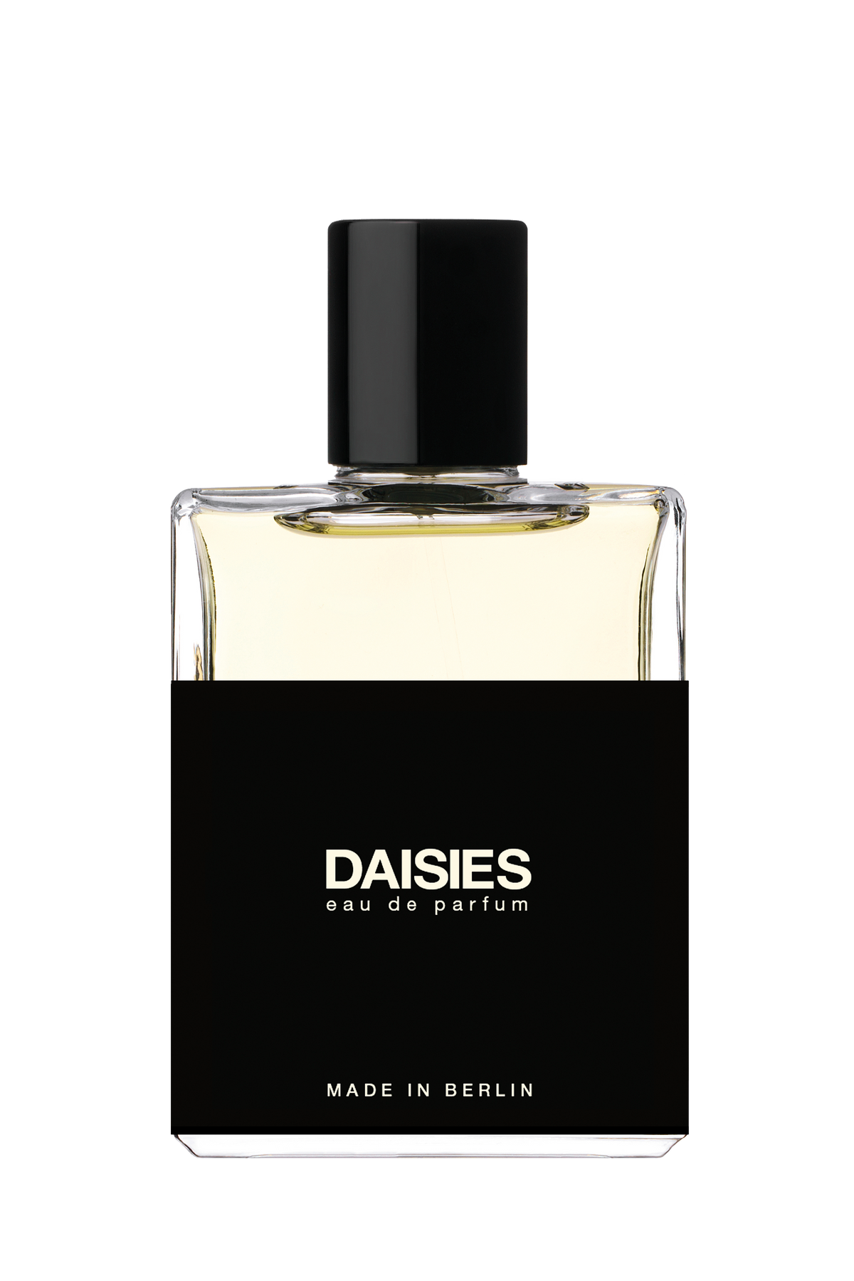 No3 - DAISIES - MOTH AND RABBIT – MOTH and RABBIT